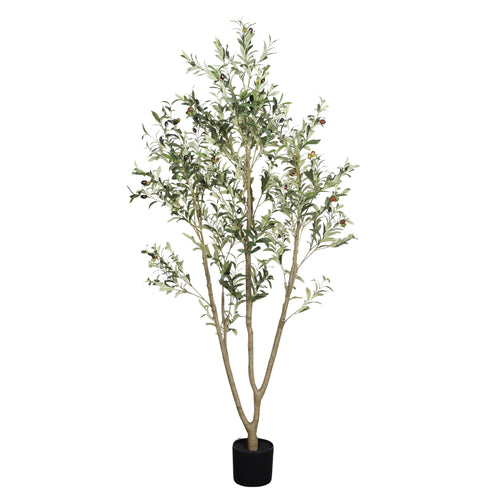 6 ft faux olive tree with three trunks, green leaves and faux olive fruits, in a black pot on a white background