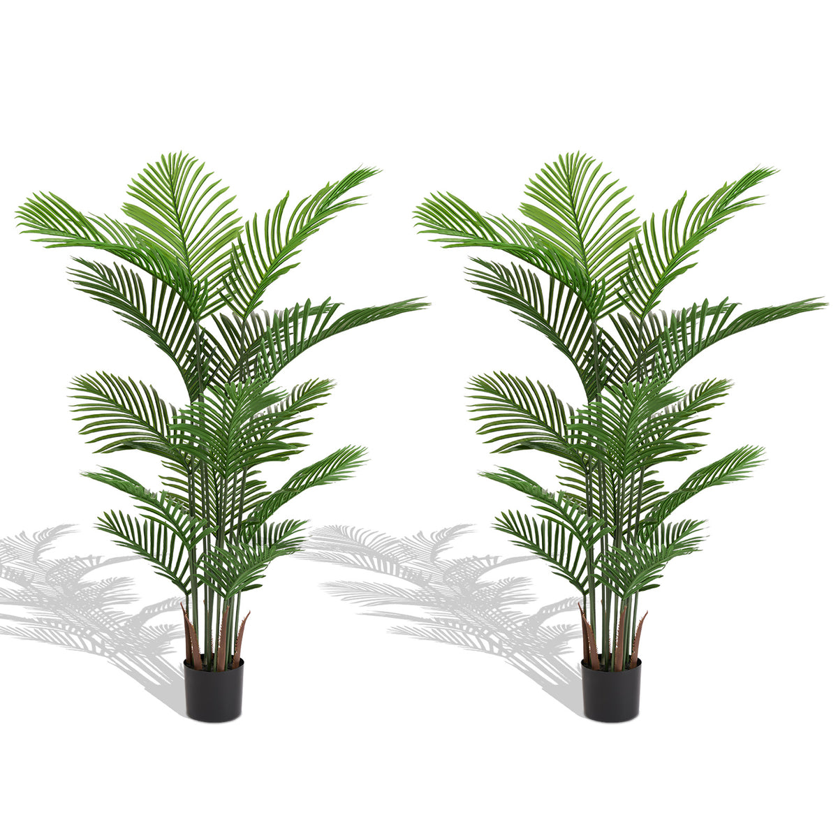 Photo of the faux areca palms, set of 2, supplier photo