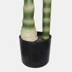 Photo of the faux palm tree, 6 ft