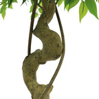 Photo of the faux ficus tree, 6 ft