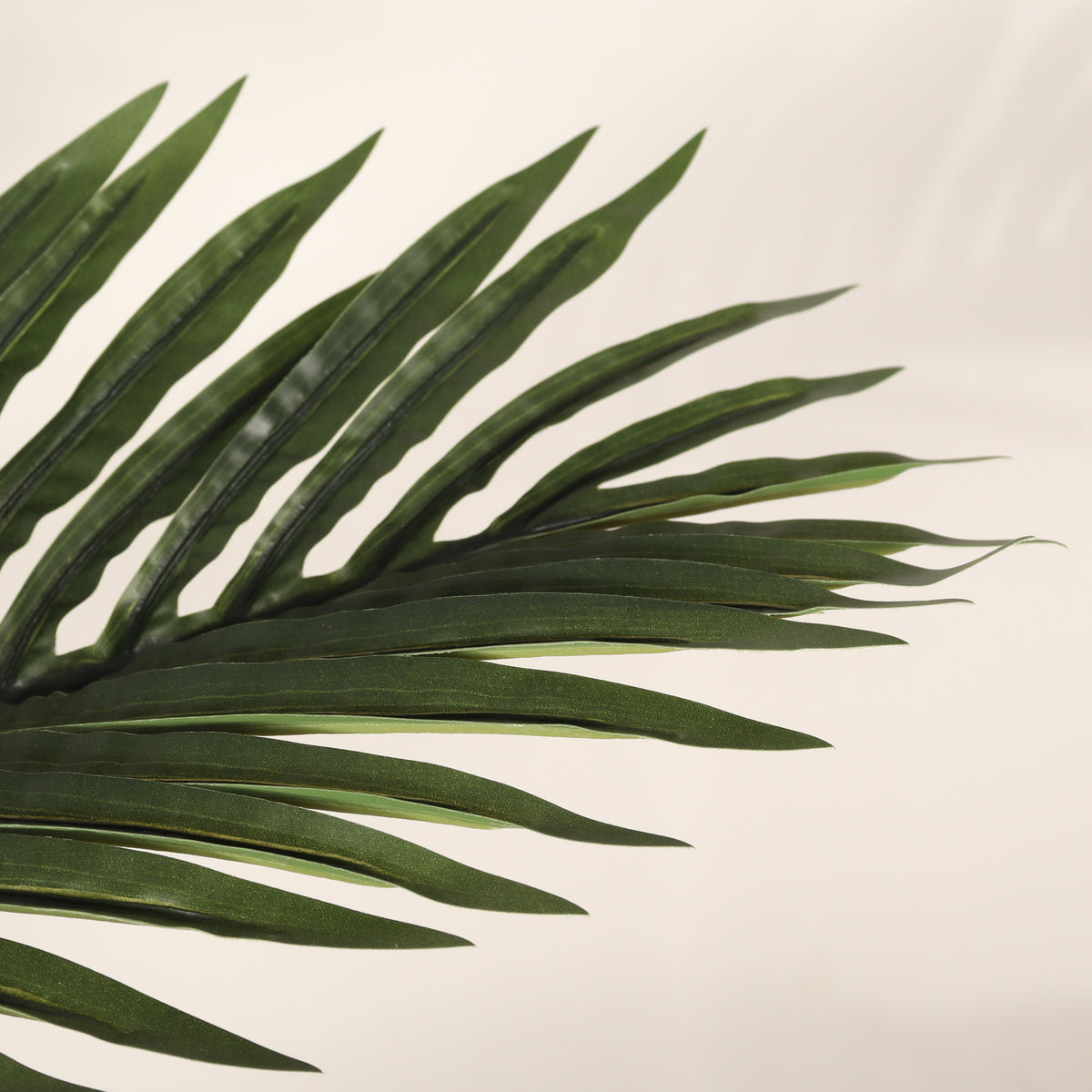 Photo of the faux palm tree, 6 ft