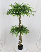 Photo of the faux ficus tree, 6 ft