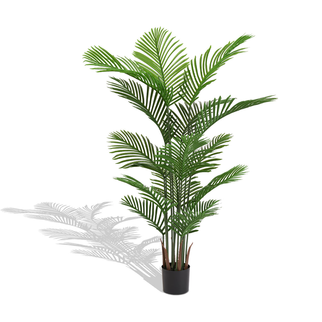 Photo of the faux areca palms, set of 2