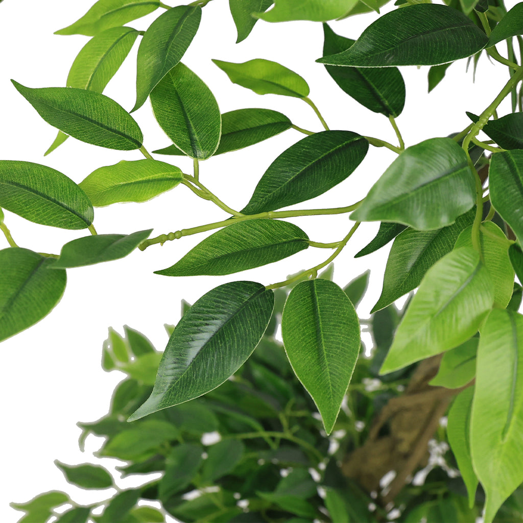 Photo of the faux ficus tree, 6 ft