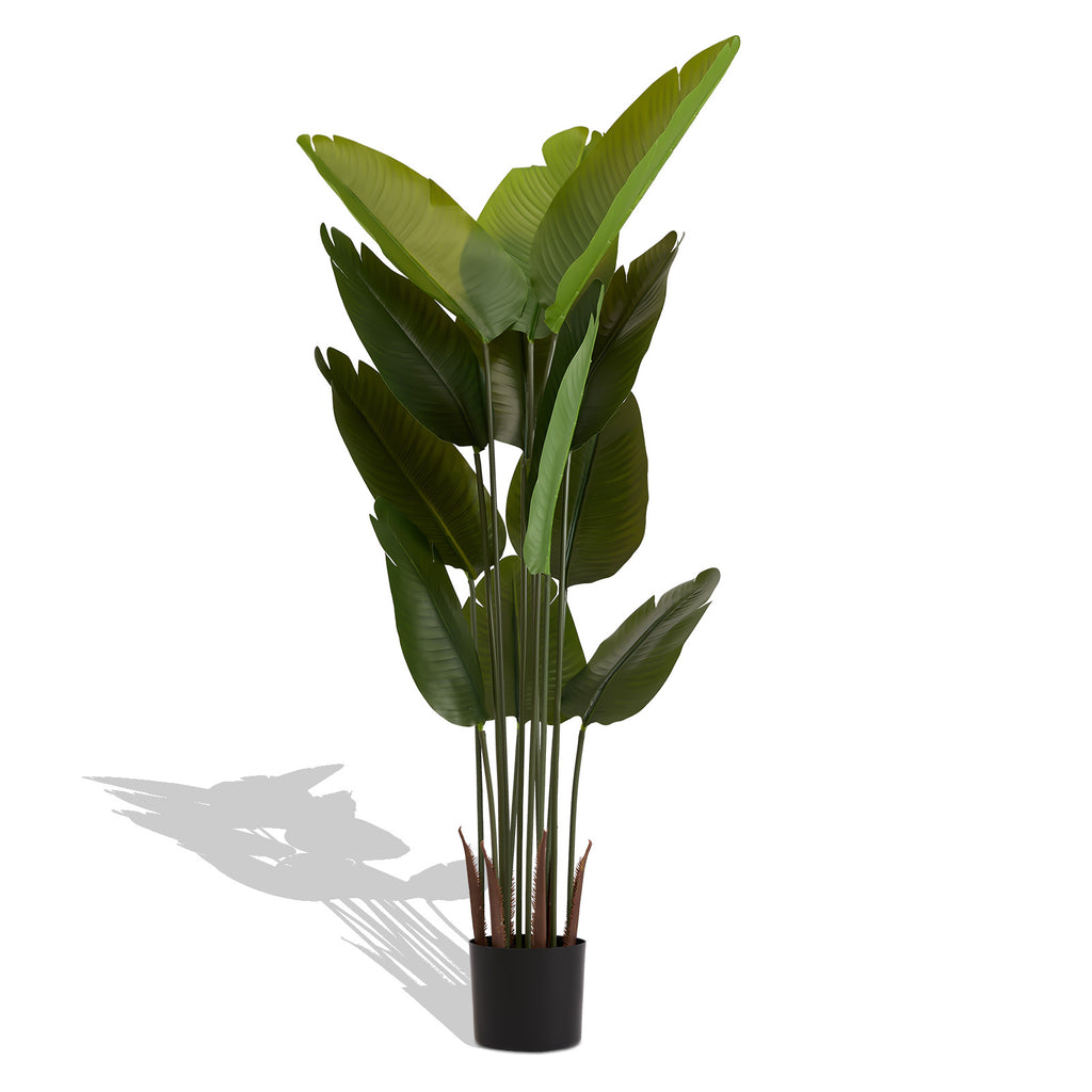 Photo of the faux bird of paradise plants, set of 2