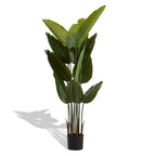 Photo of the faux bird of paradise plants, set of 2