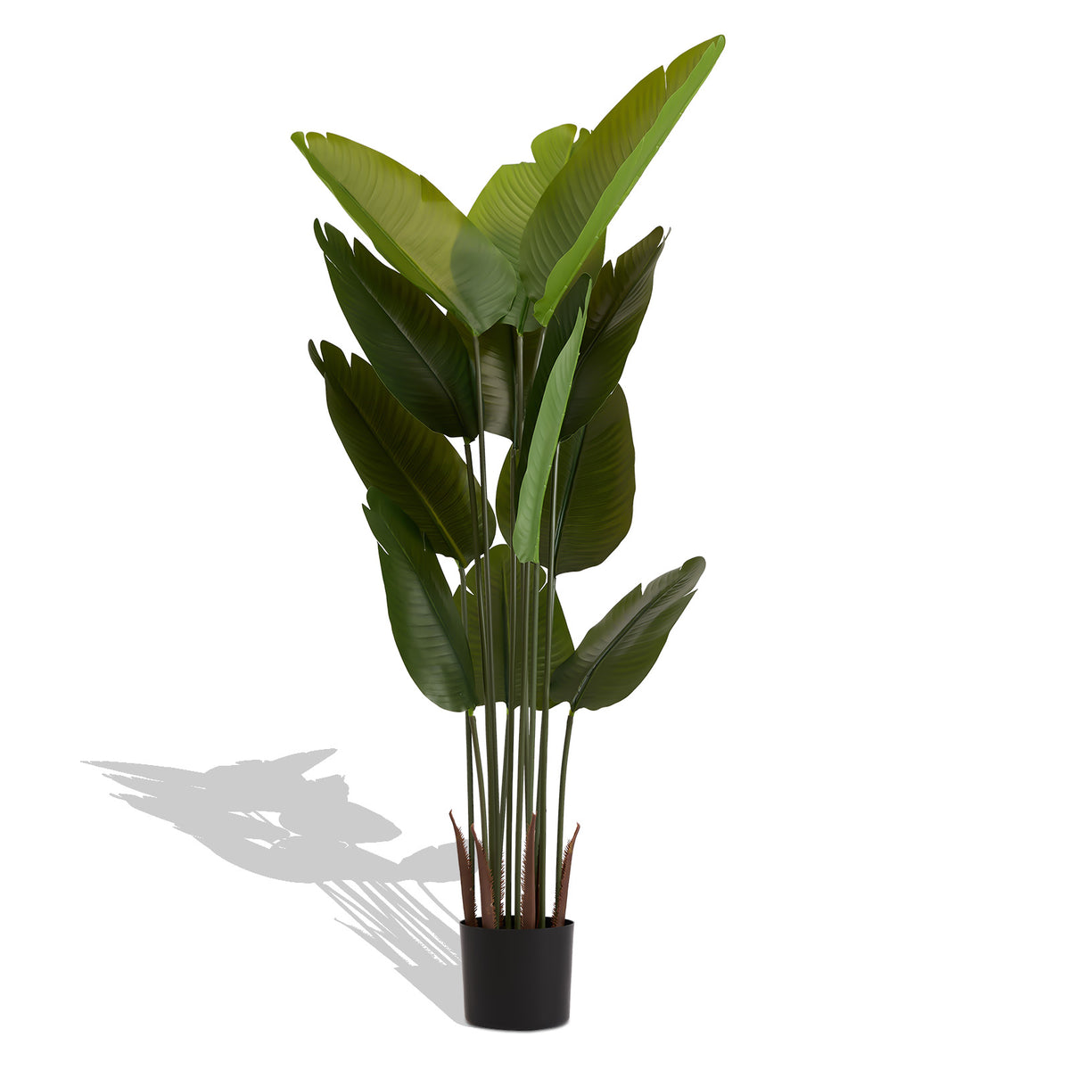 Photo of the faux bird of paradise plants, set of 2