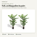 Faux areca palm, set of 2: overview