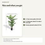 Faux areca palm, set of 2: size and what you get