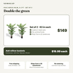 Faux areca palm, set of 2: price