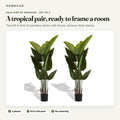 Faux bird of paradise, set of 2: overview