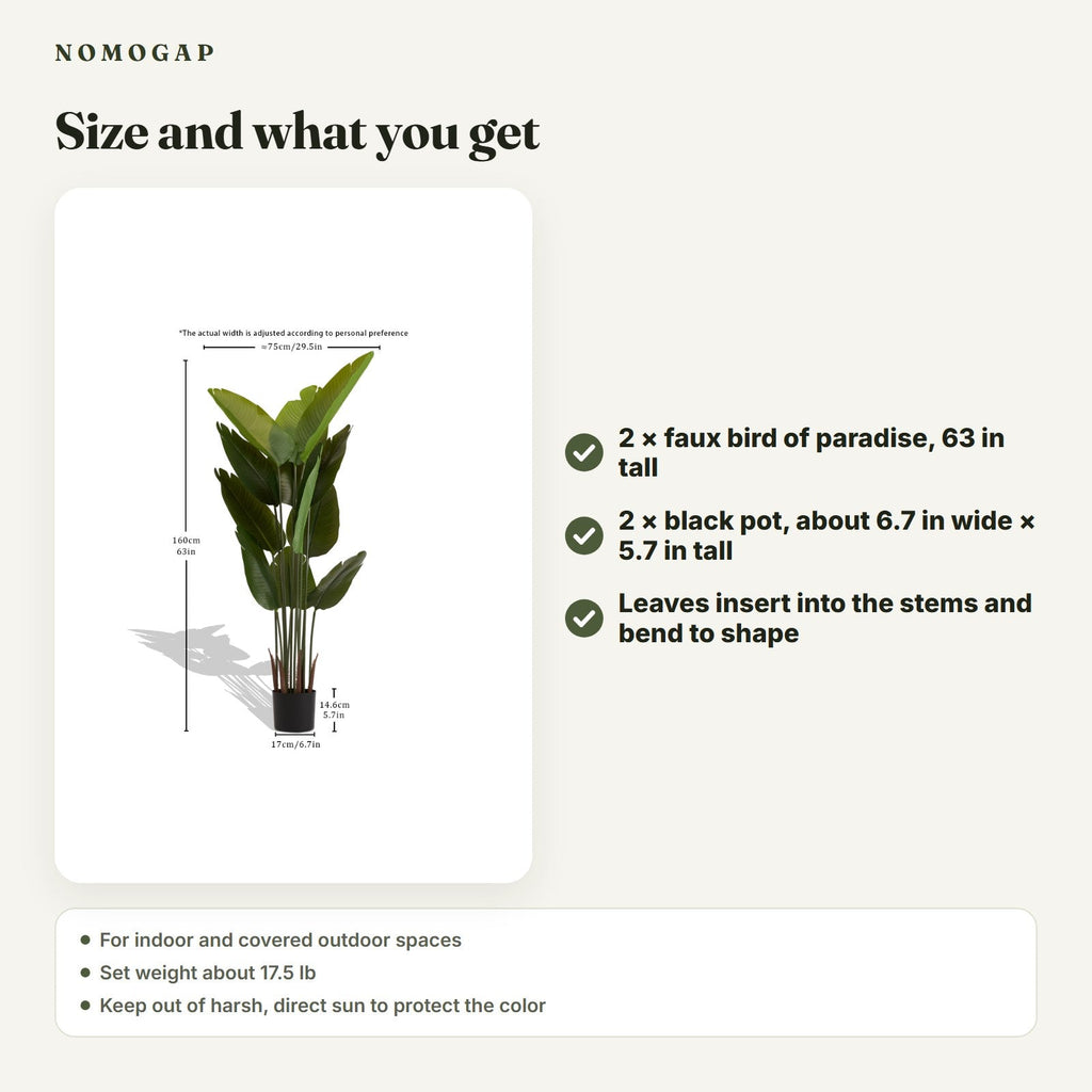 Faux bird of paradise, set of 2: size and what you get