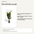 Faux bird of paradise, set of 2: size and what you get