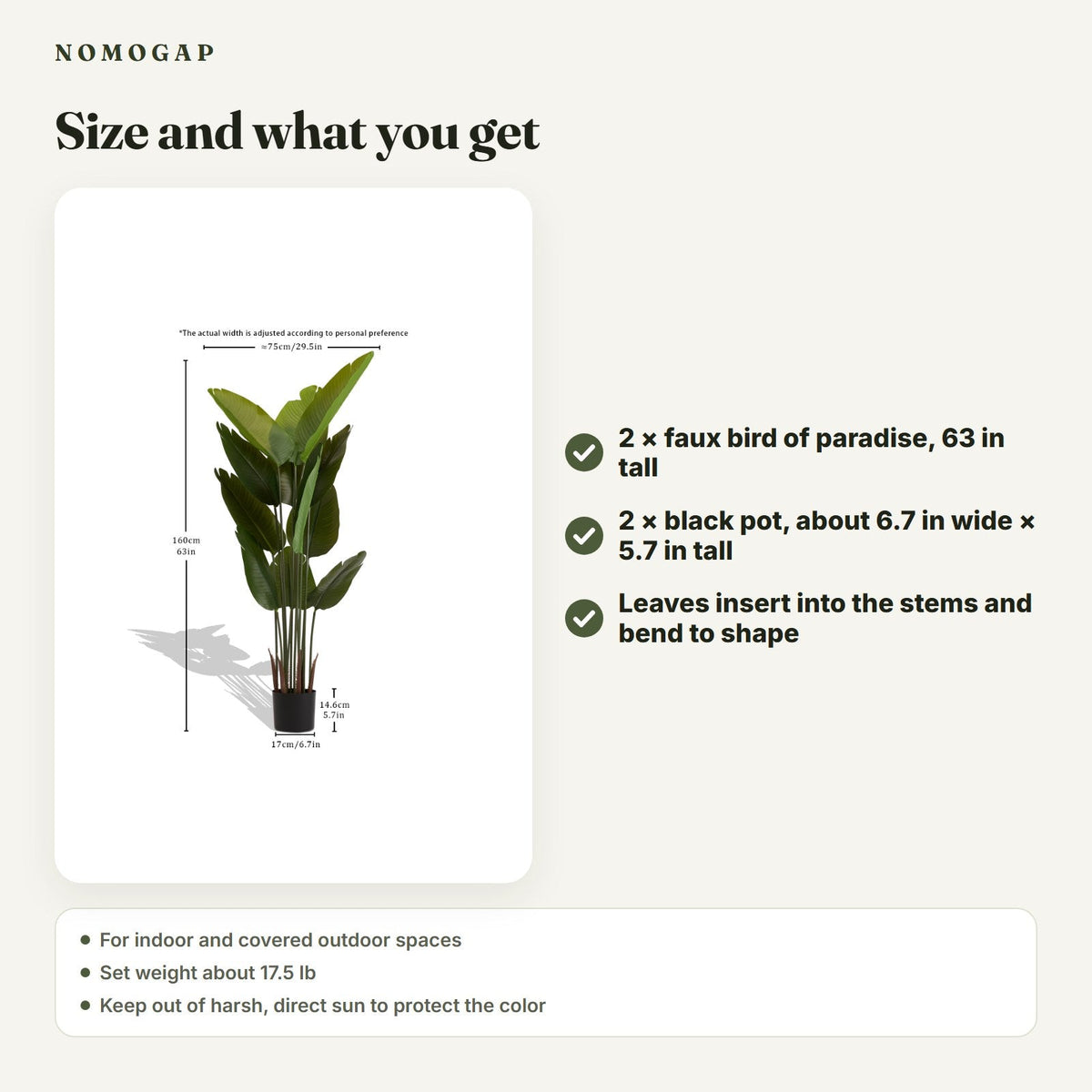 Faux bird of paradise, set of 2: size and what you get