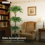 6 ft faux ficus tree: room photo