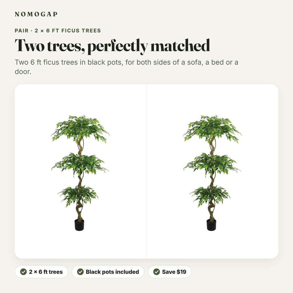 Pair of 6 ft faux ficus trees