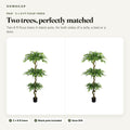 Pair of 6 ft faux ficus trees