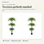 Pair of 6 ft faux ficus trees