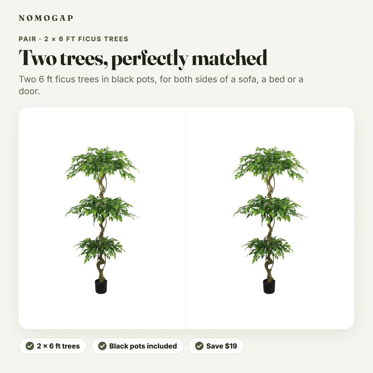 Pair of 6 ft faux ficus trees