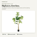 6 ft faux fiddle leaf fig tree: overview