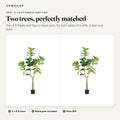 Pair of 6 ft faux fiddle leaf fig trees