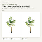 Pair of 6 ft faux fiddle leaf fig trees