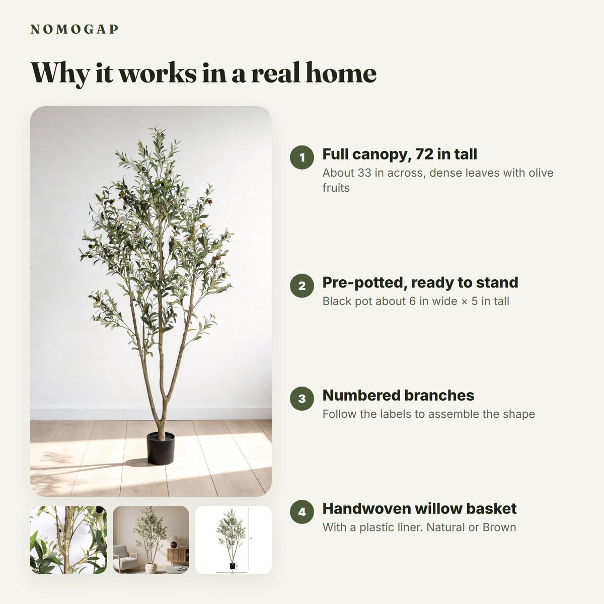 Olive tree with willow basket plus fiddle leaf fig (detail)