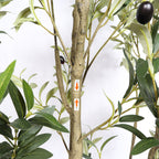 Close-up of the trunk with a numbered branch label, green leaves and faux olive fruits