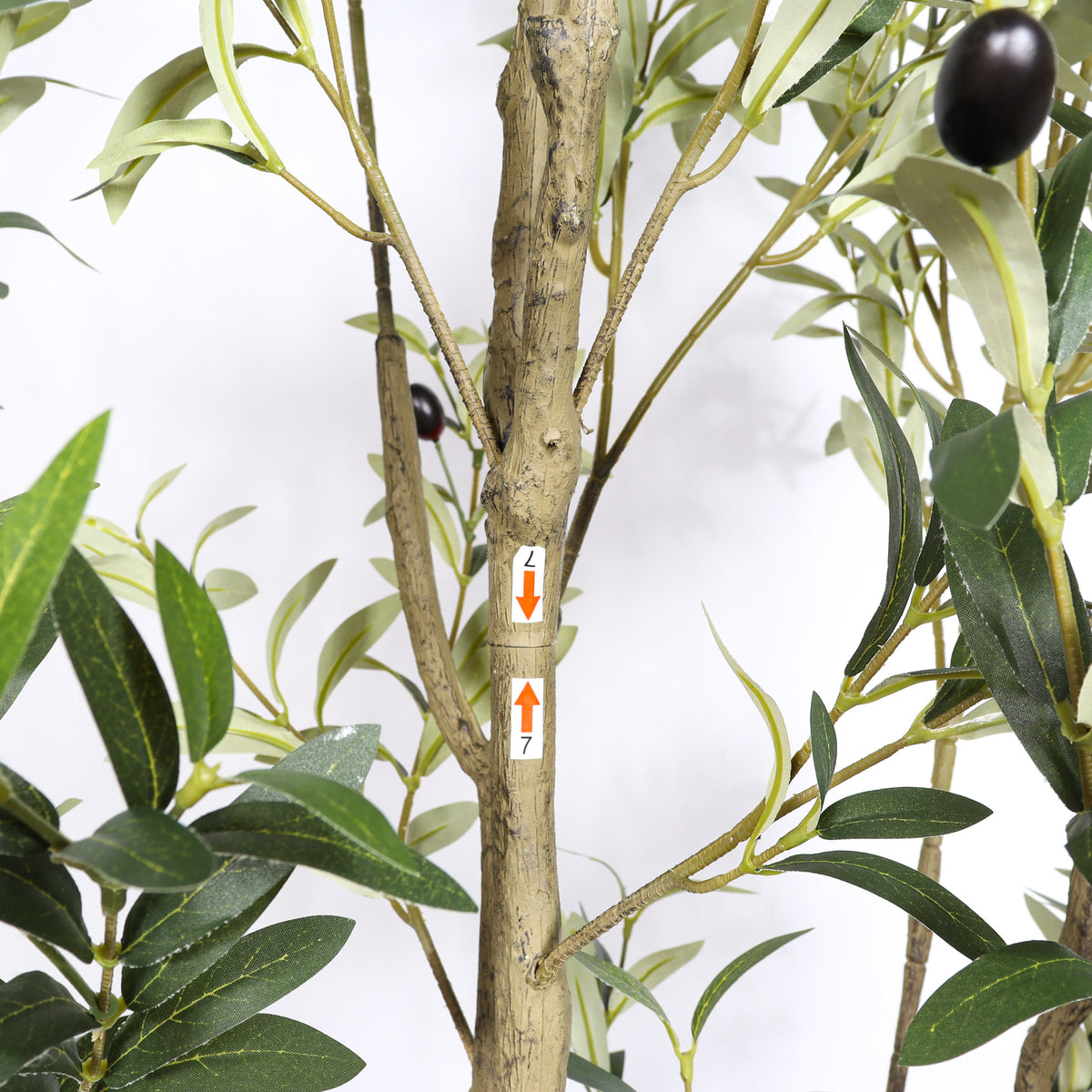 Close-up of the trunk with a numbered branch label, green leaves and faux olive fruits