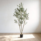 The faux olive tree in its black pot in an empty room with white walls and a wood floor