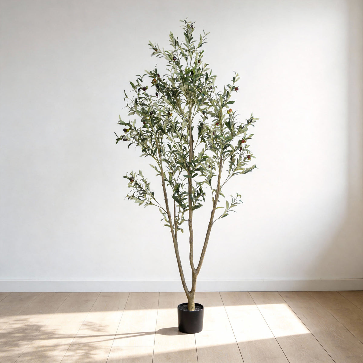 The faux olive tree in its black pot in an empty room with white walls and a wood floor