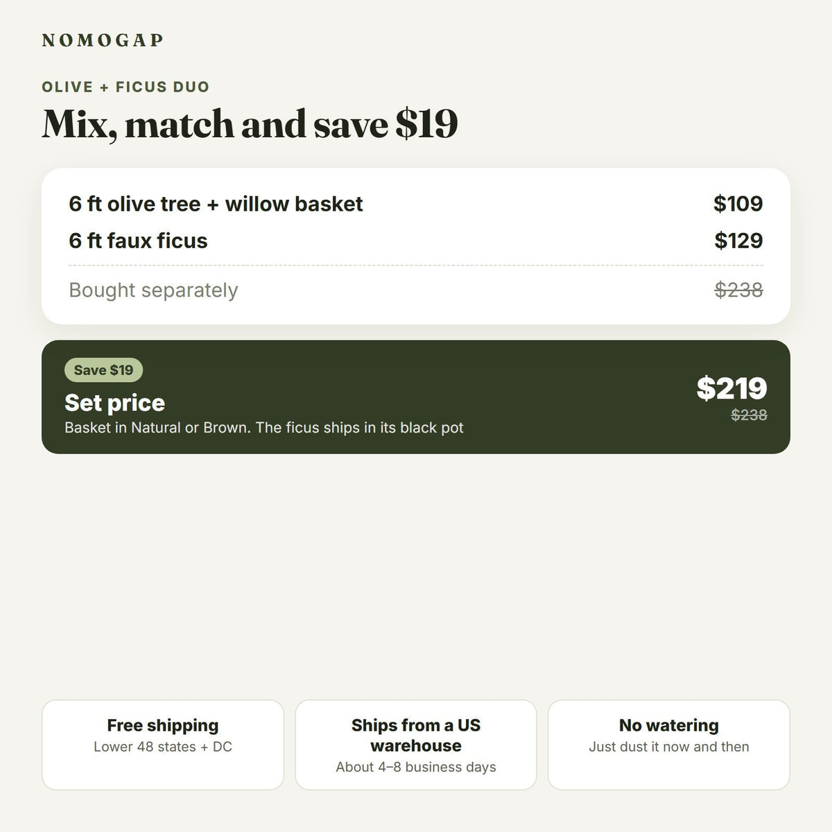 Olive tree with willow basket plus ficus tree: set price compared with buying separately