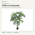 6 ft faux palm tree: overview